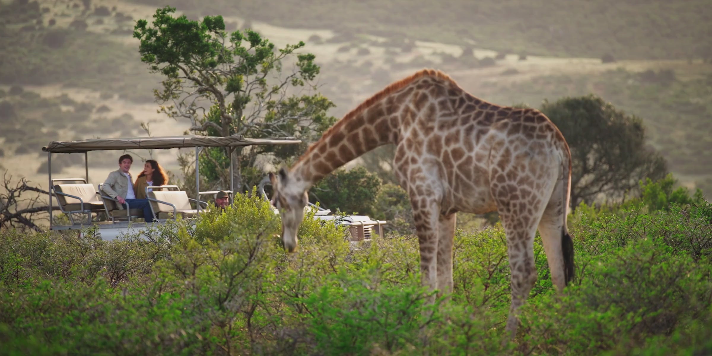 Osmo Pocket 4 captures wildlife